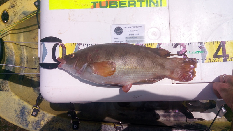 Fish Measure Picture