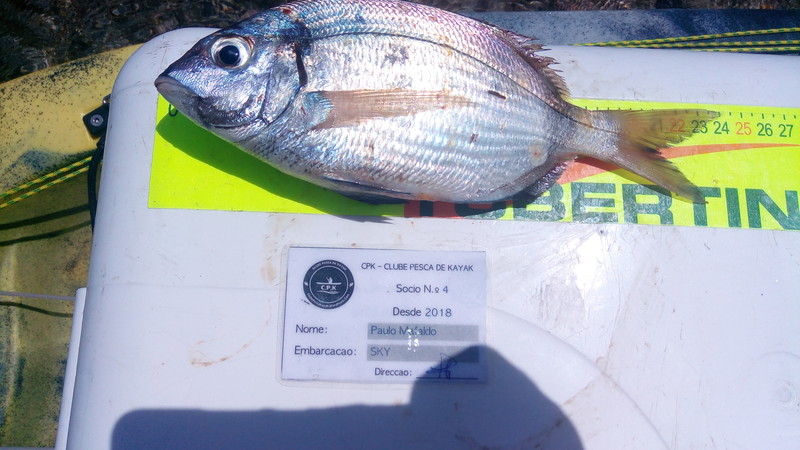 Fish Measure Picture