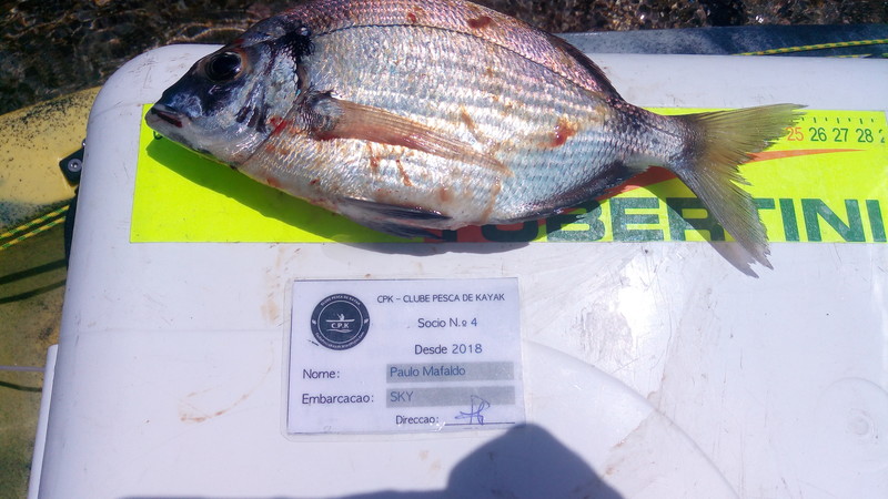 Fish Measure Picture