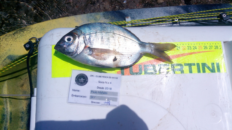 Fish Measure Picture