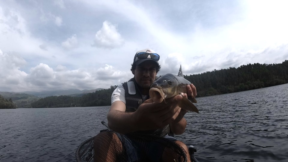 Fish Profile Picture