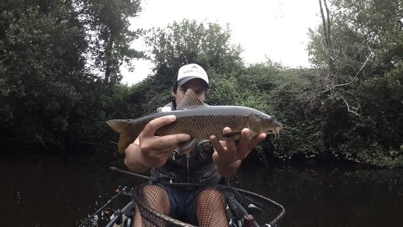 Fish Profile Picture