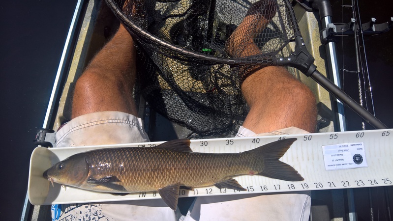 Fish Measure Picture