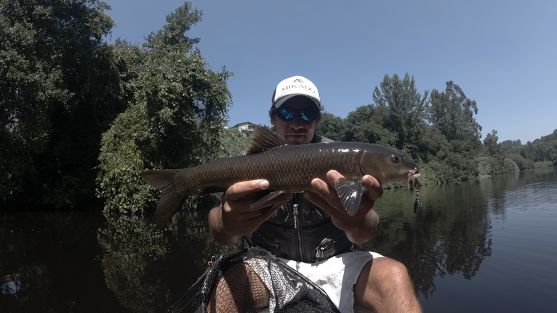 Fish Profile Picture