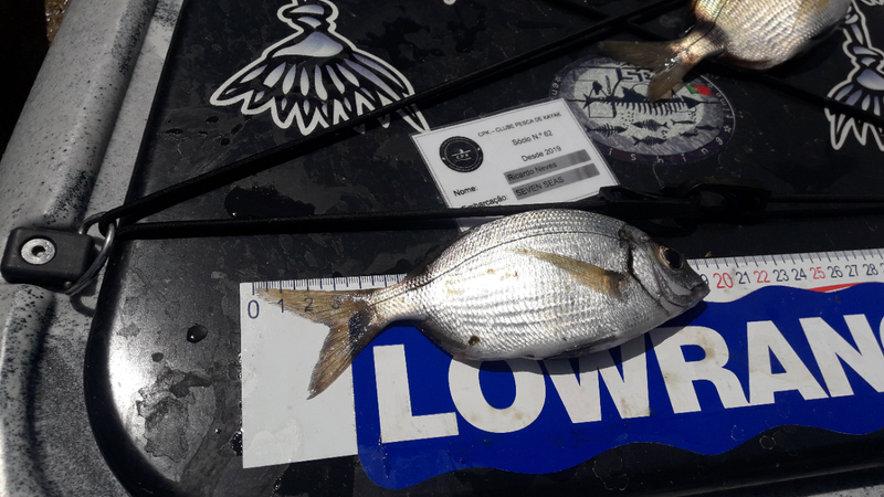 Fish Measure Picture
