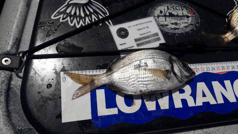 Fish Measure Picture