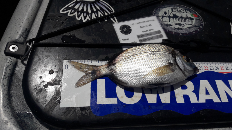 Fish Measure Picture