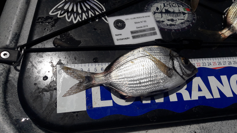 Fish Measure Picture