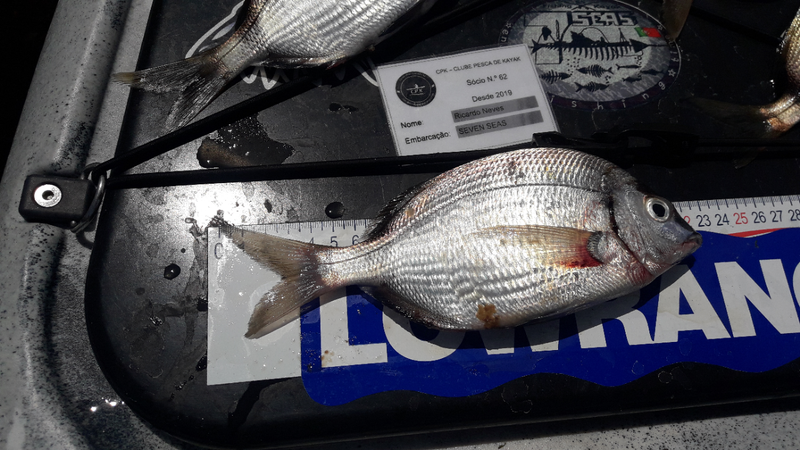 Fish Measure Picture