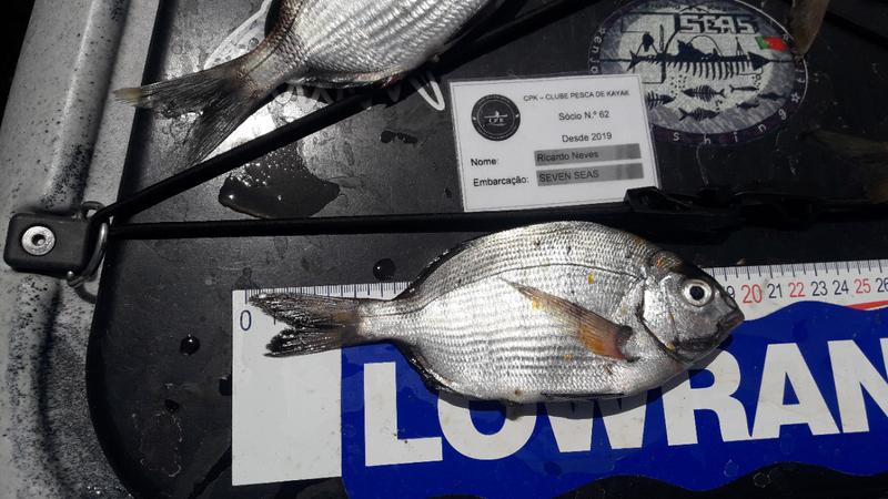 Fish Measure Picture