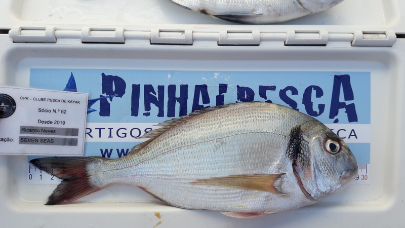 Fish Measure Picture