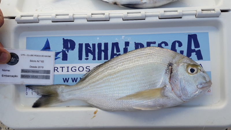 Fish Measure Picture