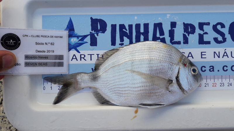 Fish Measure Picture