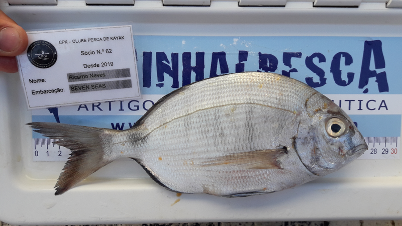 Fish Measure Picture