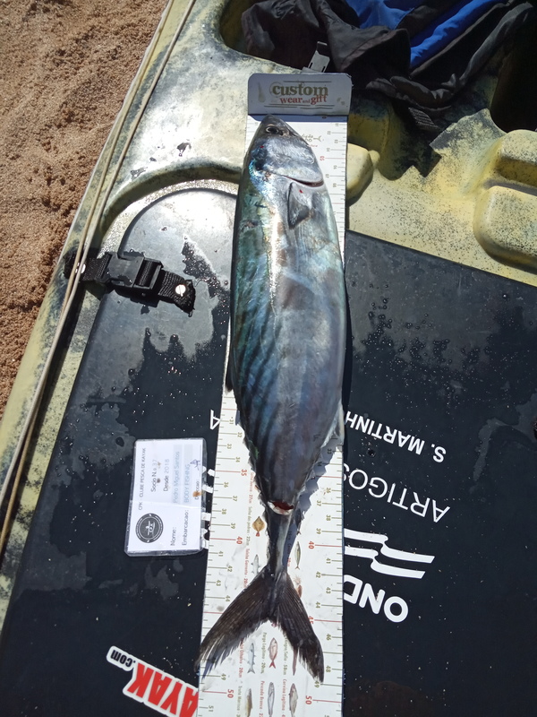 Fish Measure Picture