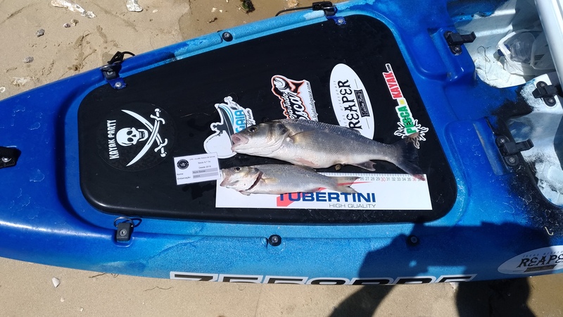 Fish Measure Picture