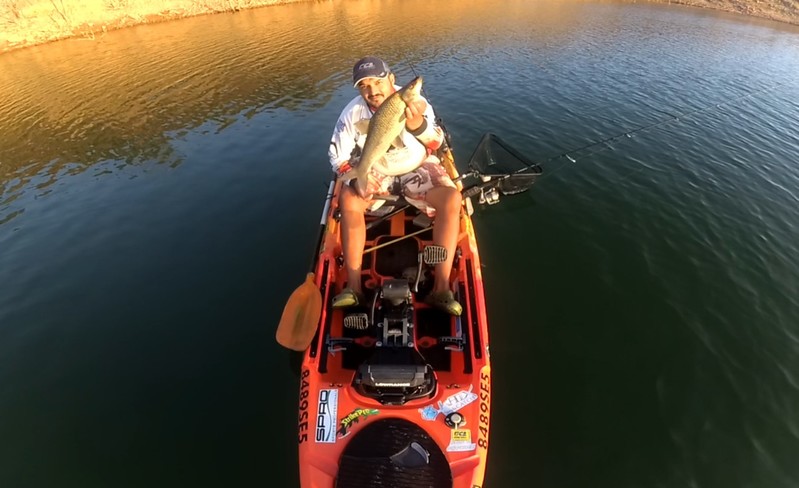 Fish Profile Picture