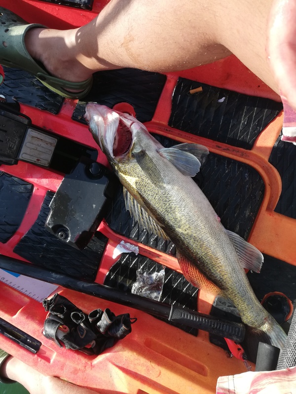 Fish Measure Picture