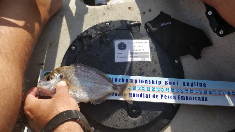 Fish Measure Picture