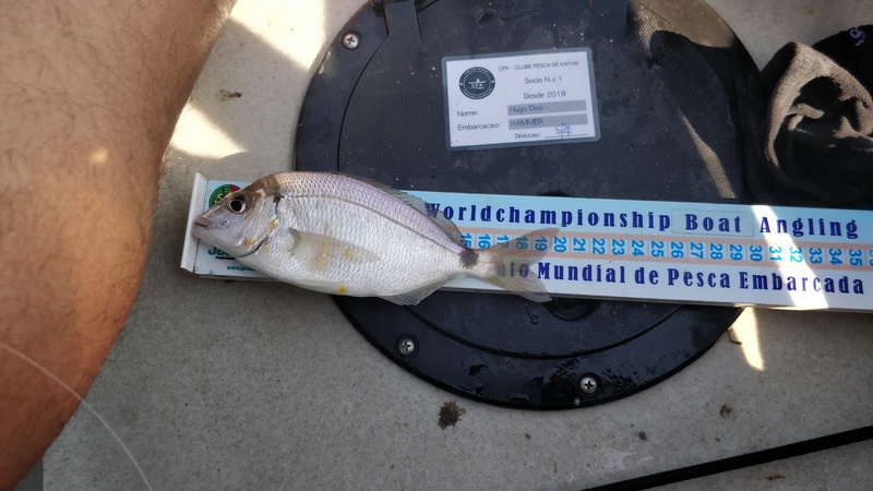 Fish Measure Picture