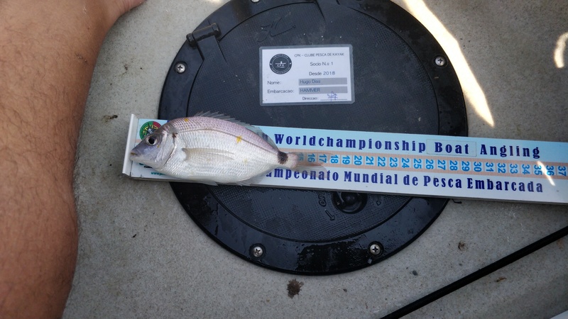 Fish Measure Picture
