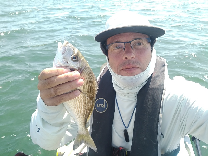 Fish Profile Picture