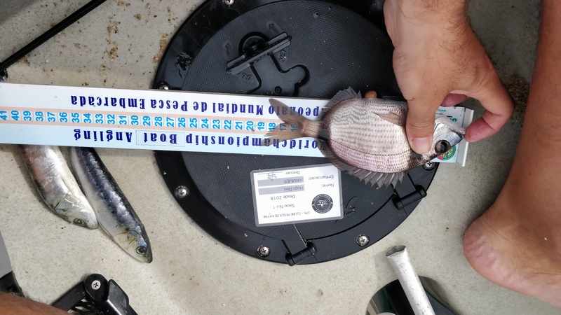 Fish Measure Picture