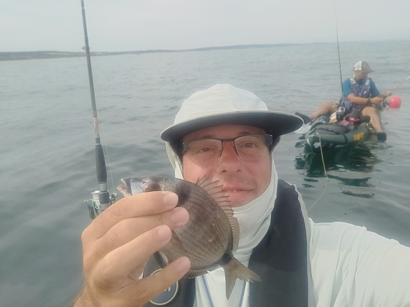 Fish Profile Picture