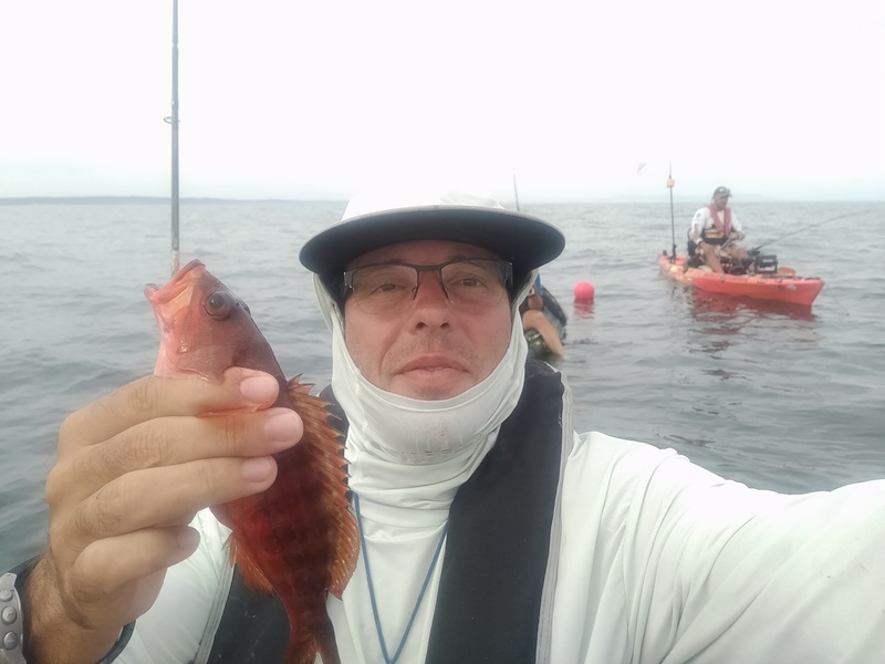 Fish Profile Picture