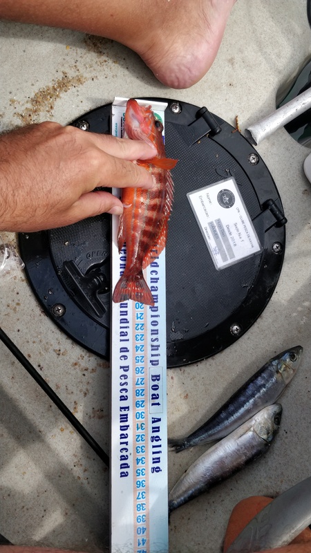 Fish Measure Picture