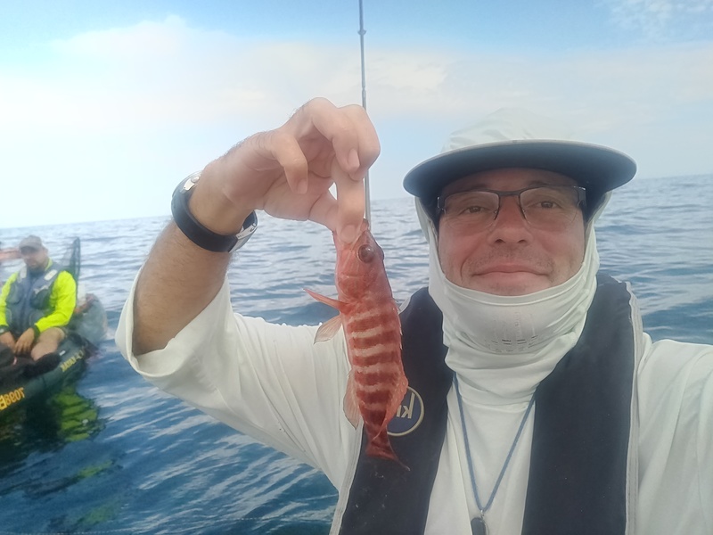 Fish Profile Picture
