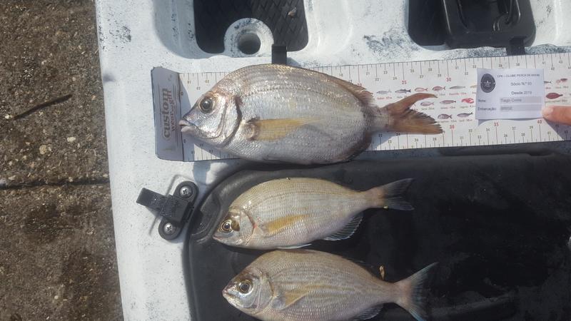 Fish Measure Picture