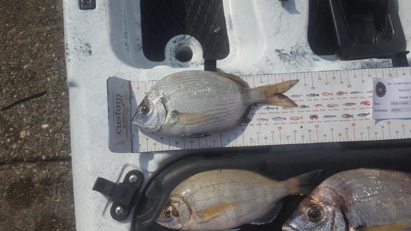 Fish Measure Picture