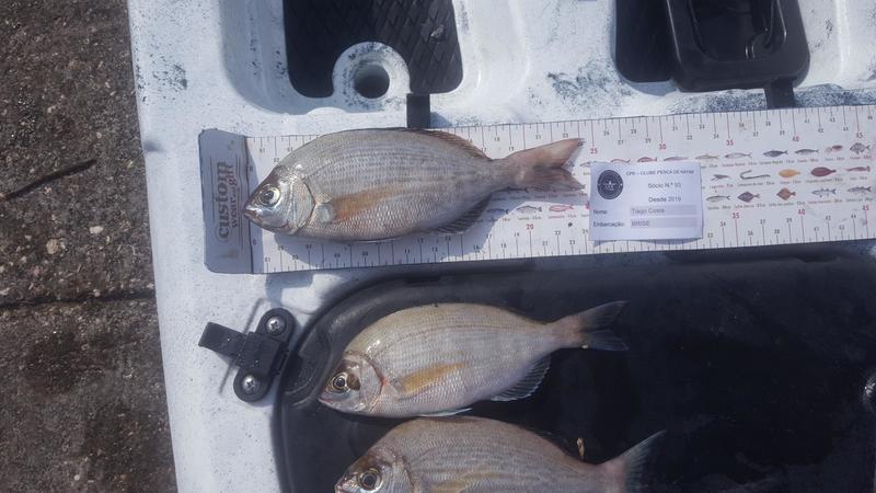 Fish Measure Picture
