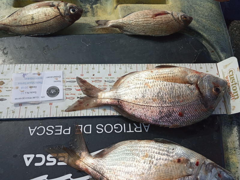 Fish Measure Picture