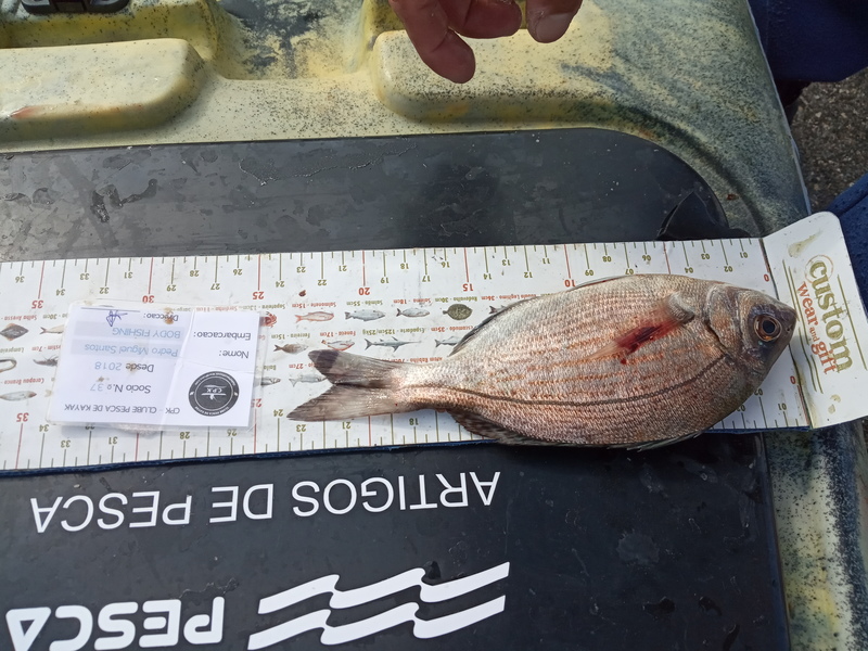 Fish Measure Picture