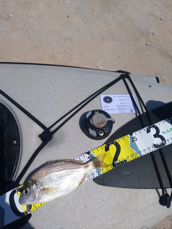 Fish Measure Picture