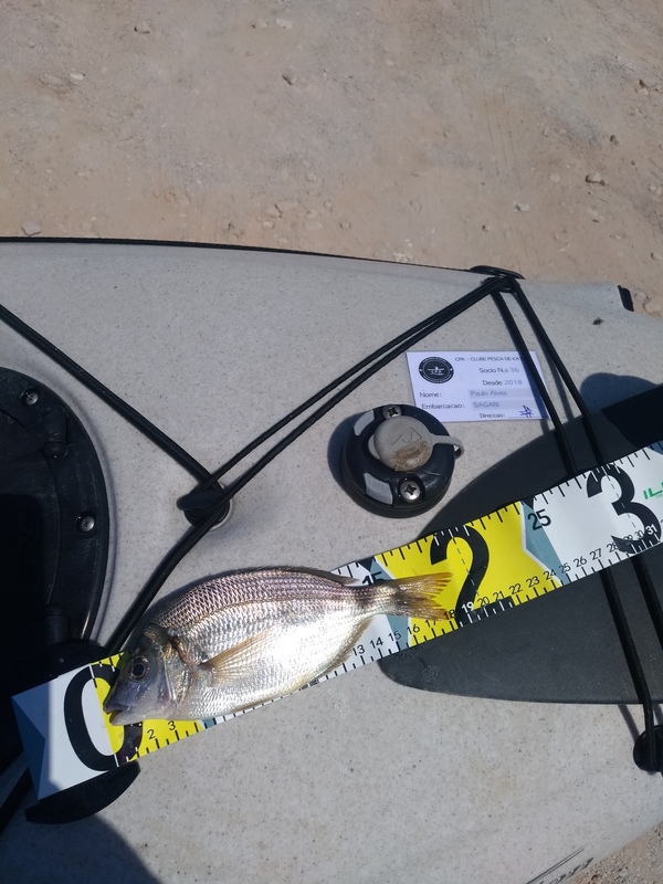 Fish Measure Picture