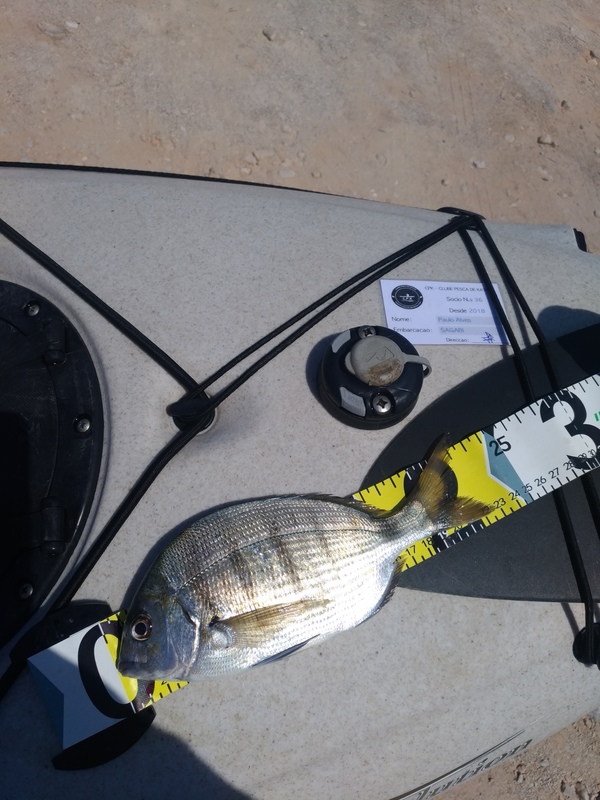 Fish Measure Picture