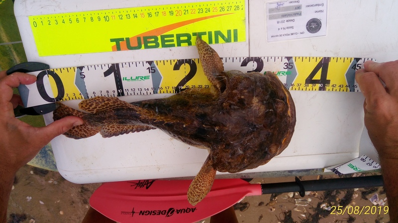 Fish Measure Picture
