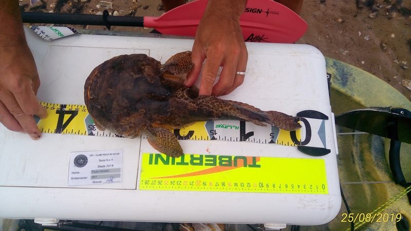 Fish Measure Picture