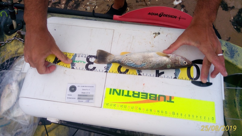 Fish Measure Picture