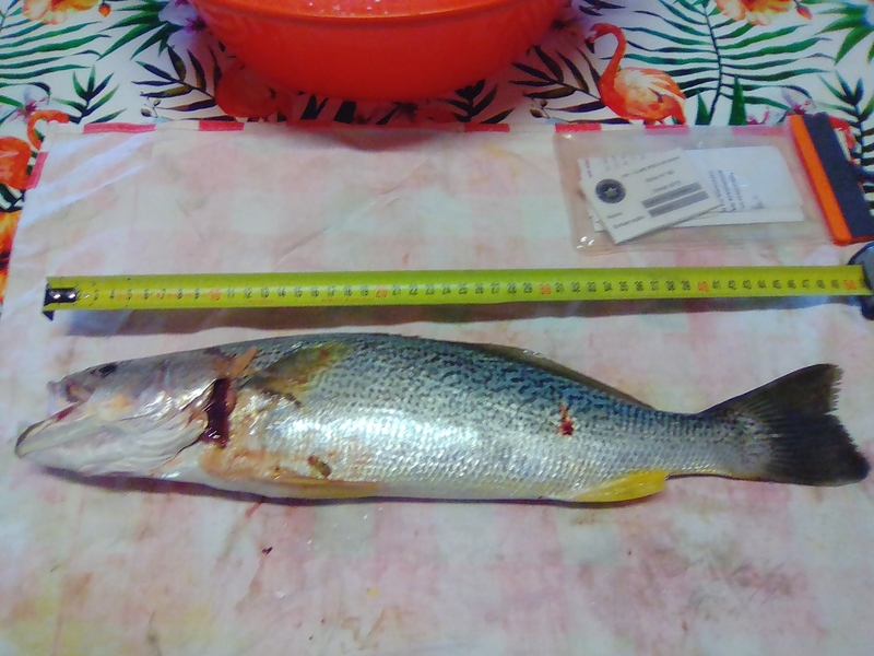 Fish Measure Picture