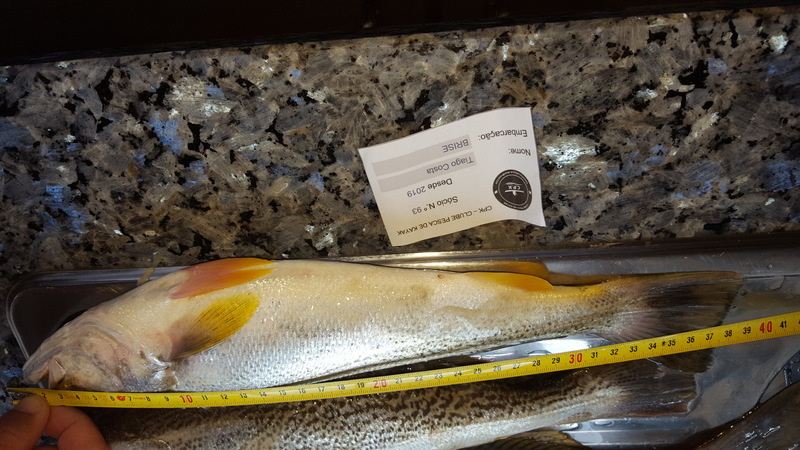 Fish Measure Picture