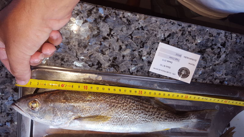 Fish Measure Picture