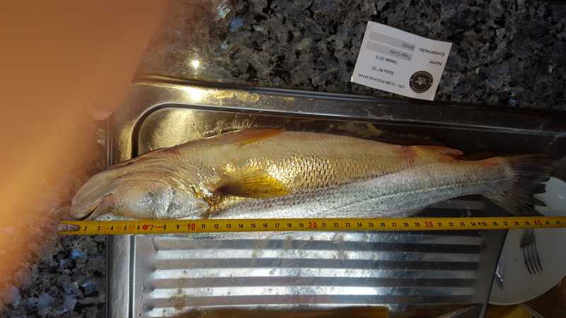 Fish Measure Picture