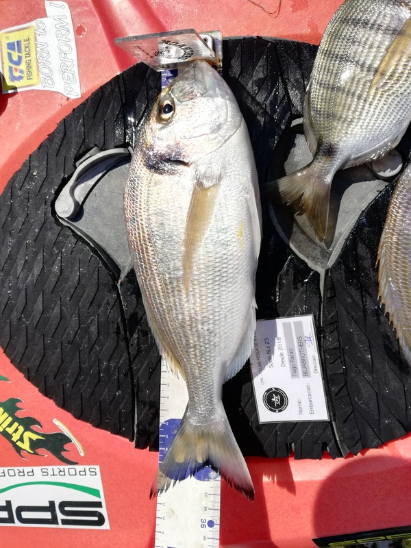 Fish Measure Picture