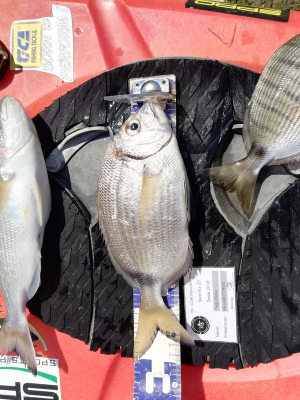 Fish Measure Picture