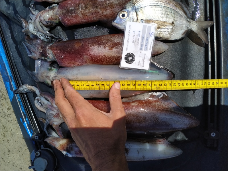 Fish Measure Picture