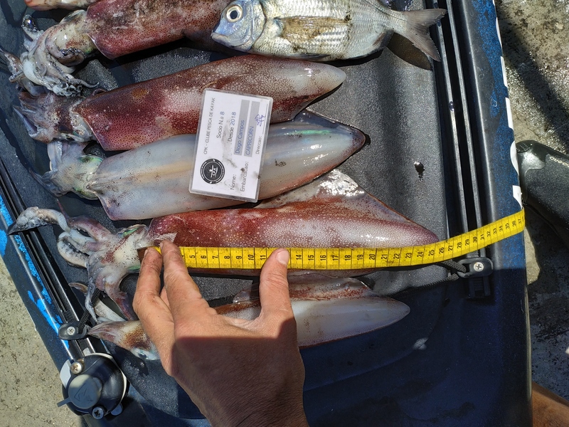 Fish Measure Picture